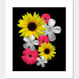gerbera bloom flower gerberas sunflower floral Posters and Art